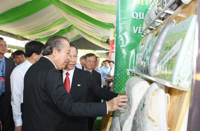 Nệm cao su Đồng Phú - Niềm tin của mọi gia đình